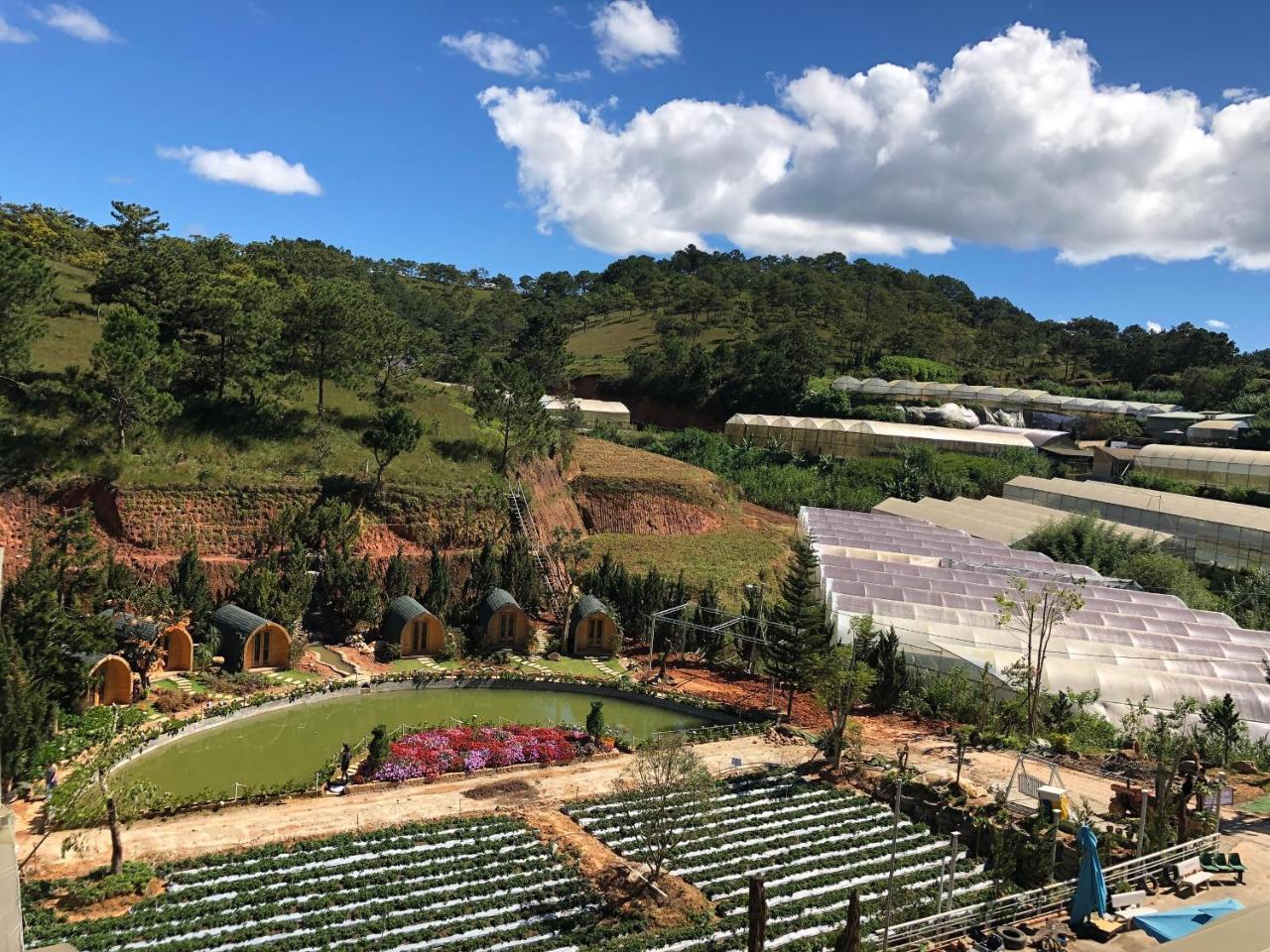 Berry Valley Homestay Νταλάτ Εξωτερικό φωτογραφία
