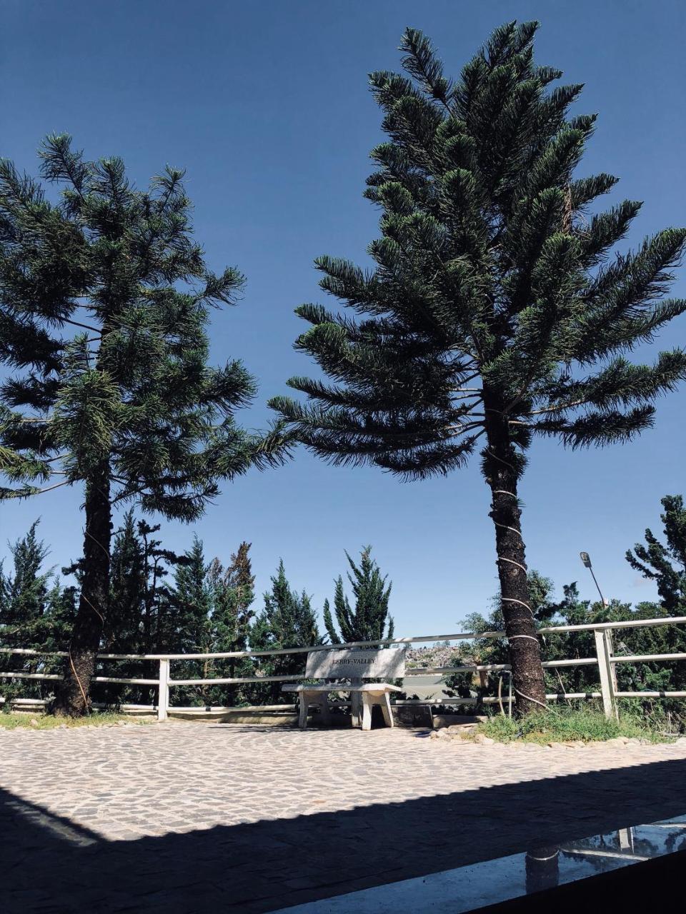 Berry Valley Homestay Νταλάτ Εξωτερικό φωτογραφία